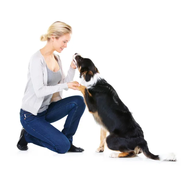 Es un buen chico. Foto de estudio de una joven con su perro aislado en blanco. —  Fotos de Stock