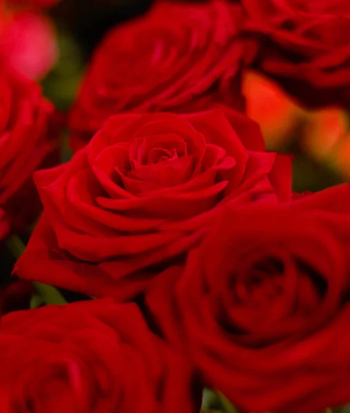 Kaufe ihr eine Rose. Großaufnahme von einem Strauß Rosen. — Stockfoto
