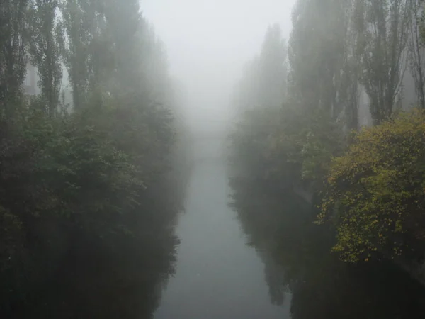Der Nebel zieht über... - Aarhus. Ein malerischer Blick auf einen ruhigen Bach zwischen hohen Bäumen im Nebel. — Stockfoto