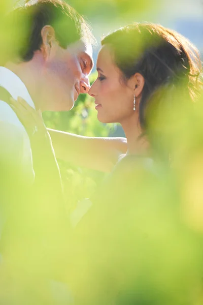 Megosztani egy intim pillanatot. Egy menyasszony és egy vőlegény csókolózik a szőlőskertben.. — Stock Fotó