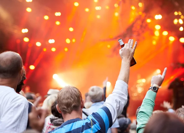To je ale show. Rearview záběr davu fanoušků jásajících na outdoorové hudební události. — Stock fotografie