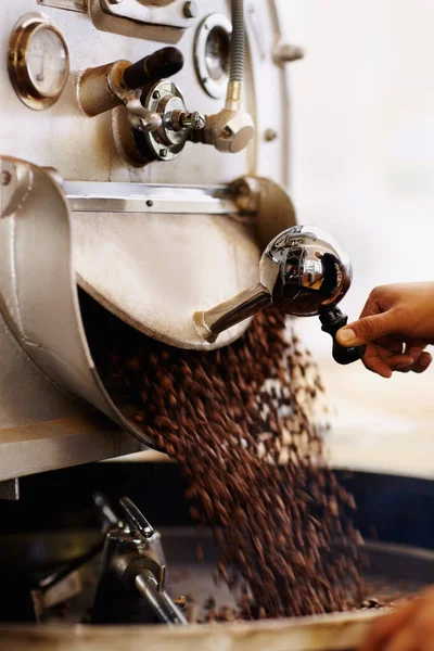 Verse bonen voor het malen. Een shot koffiebonen dat in een industriële maalmachine stroomt. — Stockfoto