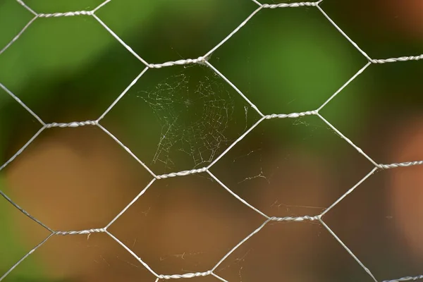 Contesto. Utilizzare pieno come sfondo - spazio di copia. — Foto Stock