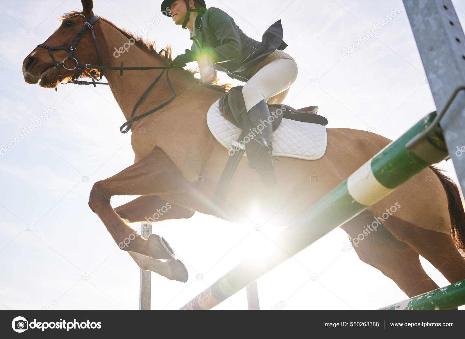 Foto Cavalo pulando sobre obstáculo – Imagem de Cavalo grátis no