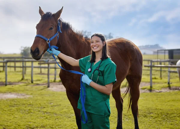 良い獣医師は動物と話をする。農場で馬に包帯をしている若い獣医師のショット. — ストック写真