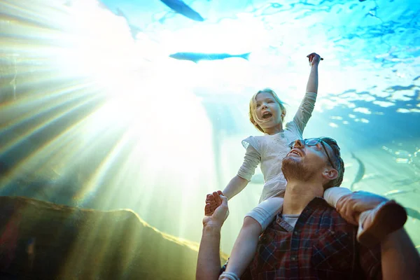 Het voelt alsof we samen met de vissen zwemmen. Gehakt schot van een vader en zijn dochtertje kijkend naar een tentoonstelling in een aquarium. — Stockfoto