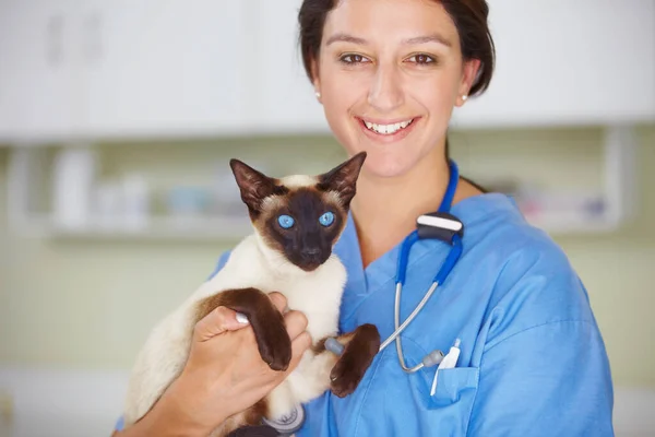 Dbając o to, aby Twoje zwierzęta miały jak największe szanse. Portret uśmiechniętej weterynarki trzymającej syjamskiego kota. — Zdjęcie stockowe