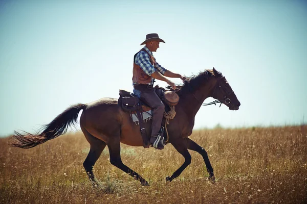 Rida dem cowboy. Skjuten av en man ridande på en häst på ett fält. — Stockfoto