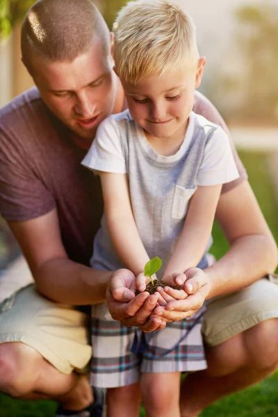 Це важливо навчити дітей про природу. Обрізаний знімок батька та його маленького сина, який тримає рослину, що росте з землі . — стокове фото