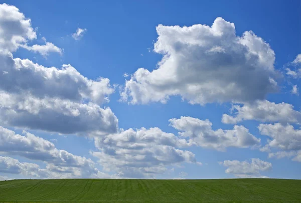 Yeşil tarlalar ve mavi gökyüzü. Danimarka 'dan doğa fotoğrafları. — Stok fotoğraf