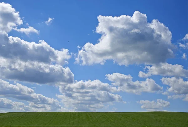 Campo idílico. Hermosas nubes cumulonimbus sobre un prado verde. — Foto de Stock