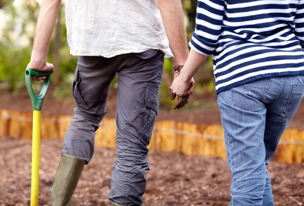 Lets get gardening. Rear view of a young couple holding hands and surveying their vegetable garden. — Stock Photo, Image