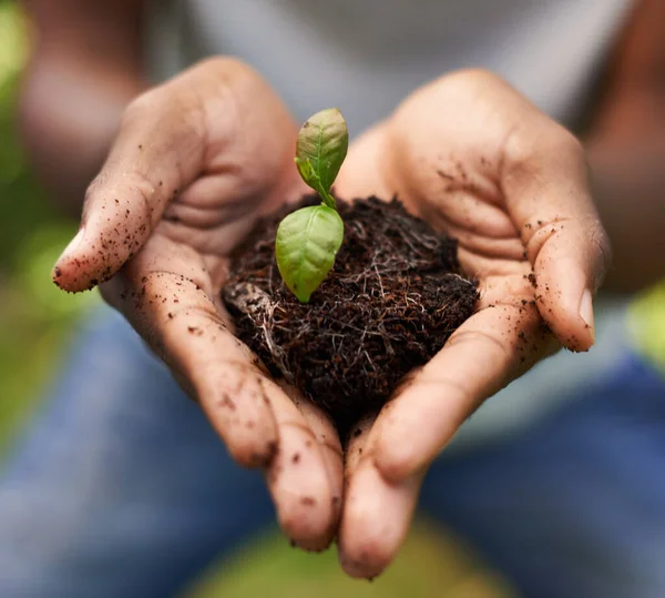 Tiene un toque nutritivo. La foto recortada de una planta en crecimiento en las manos de un hombre. —  Fotos de Stock