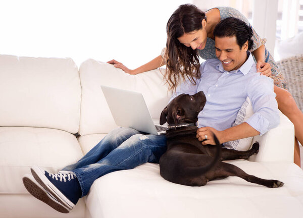 Theres enough love for everyone. A couple sitting together on the sofa with a laptop while playing with their dog.