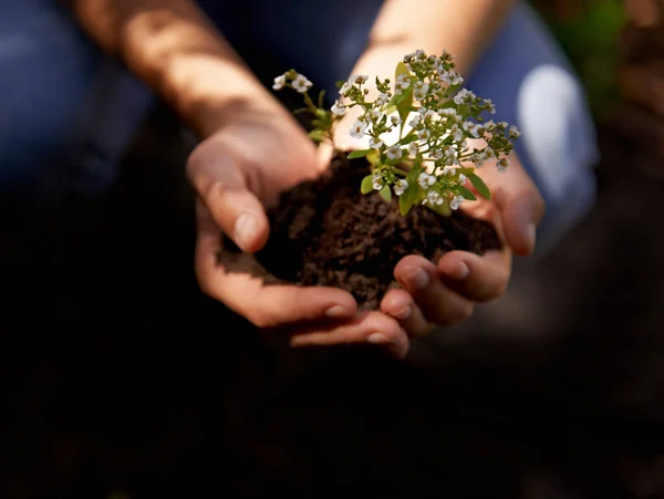 Keeping her fingers green. A young woman preparing to plant herbs. — Stock Photo, Image