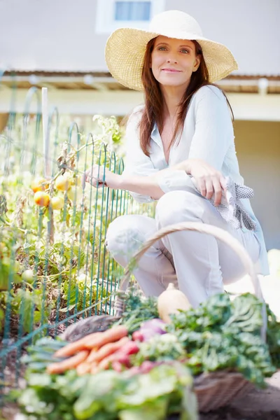 Ingyen vacsora a Föld jóvoltából. Egy gyönyörű nő guggol a zöldségkertjében egy kosár frissen szedett zöldséggel az orra előtt... — Stock Fotó