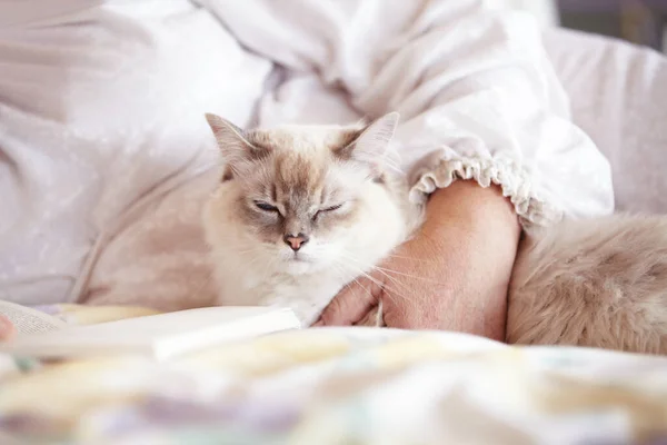 Questa è la vita. Un colpo ritagliato di un bel gatto siamese sdraiato su un letto con il suo proprietario. — Foto Stock