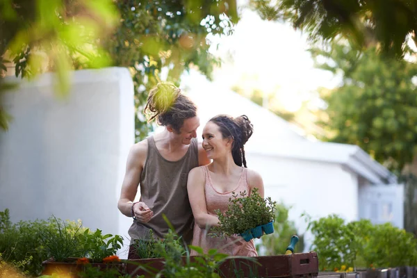 Älskar de gröna fingrarna. Skjuten av ett lyckligt ungt par njuter av en dag av trädgårdsarbete. — Stockfoto