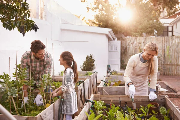 Mendapatkan beberapa berkebun dilakukan sebagai keluarga. Shot of a family gardening together in their backyard. — Stok Foto
