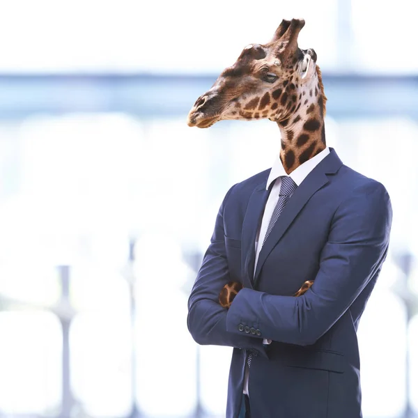 Bem-vindo à selva corporativa. Imagem conceitual de cabeças de animais em empresários. — Fotografia de Stock