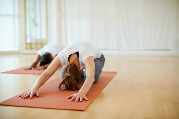 Alongar o stress. Tiro de duas mulheres fazendo ioga juntos em um estúdio. — Fotografia de Stock