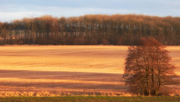 Природа осенью. Фотография сельхозугодий осенью. — стоковое фото