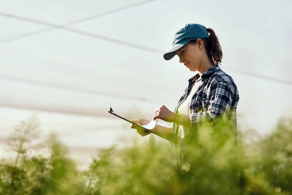 Quanto mais verde, melhor. Tiro colhido de uma jovem agricultora atraente olhando sobre a papelada enquanto trabalhava em sua fazenda. — Fotografia de Stock