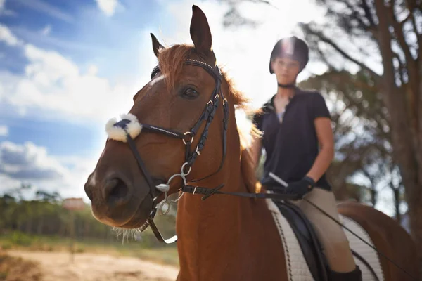 風のように無料...栗の馬に乗って美しい若い女性. — ストック写真