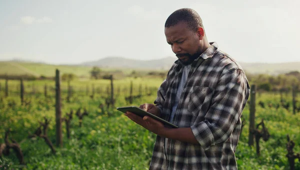 De landbouw is een stuk efficiënter geworden. Foto van een volwassen man met behulp van een digitale tablet tijdens het werken op een boerderij. — Stockfoto