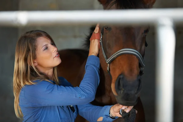 Hon tar väl hand om sin häst. En ung kvinna borstar sin häst i stallet. — Stockfoto