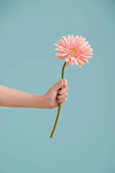 Coś, co poprawi ci humor. Mała dziewczynka prezentuje kwiat w odosobnieniu.. — Zdjęcie stockowe