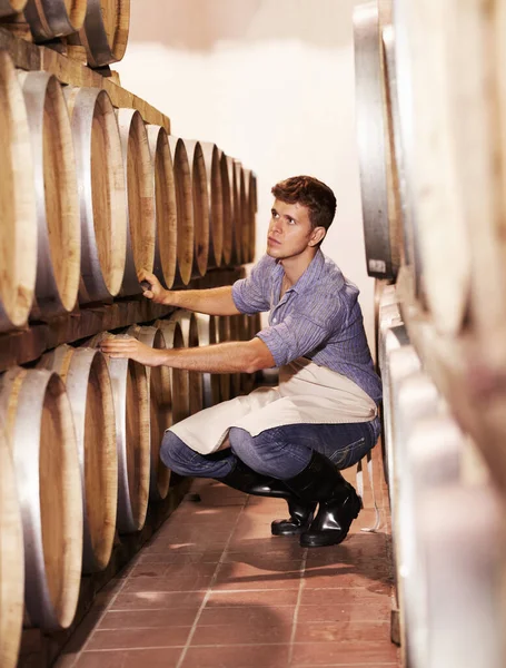 Nu behöver vi bara vänta. En ung vinmakare räknar sina vinfat i källaren. — Stockfoto