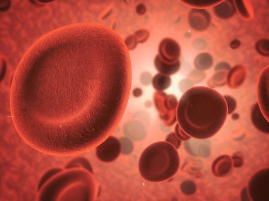 Hepsi kanda var. İnsan vücudundaki kırmızı kan hücrelerinin mikroskobik görüntüsü.