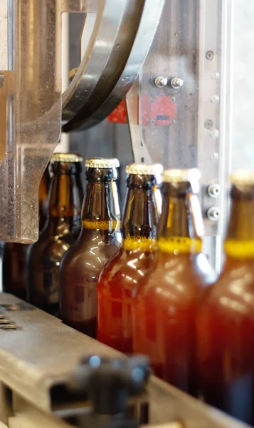 A delicious new brew. Shot of beer bottles on a production line at a brewery. — Stock Photo, Image