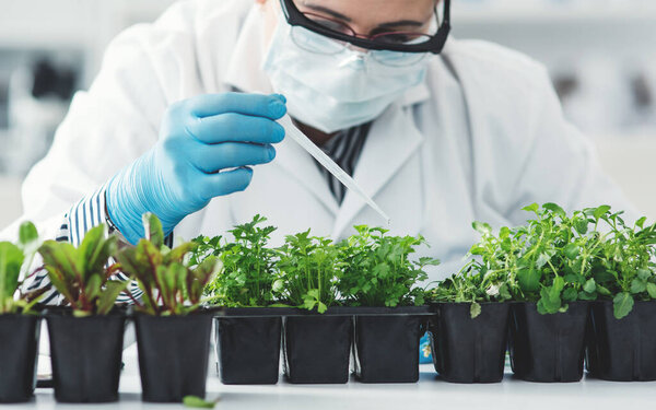 Because botany is close to heart.... Cropped shot of an unrecognizable female scientist dropping a liquid sample on different plants while working in a laboratory.
