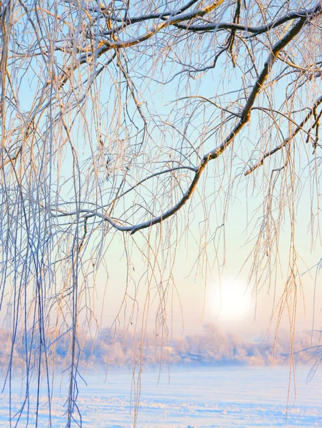 太陽はこの冬の日に輝いている。風光明媚な冬の風景のショット. — ストック写真