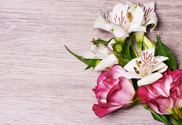Kwiaty na każdą okazję. Studio shot różowo-białe lilie. — Zdjęcie stockowe