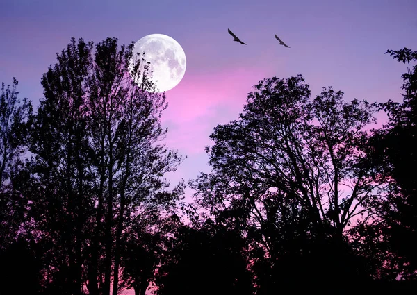 Al settimo cielo. Una foto della luna dopo il tramonto. — Foto Stock