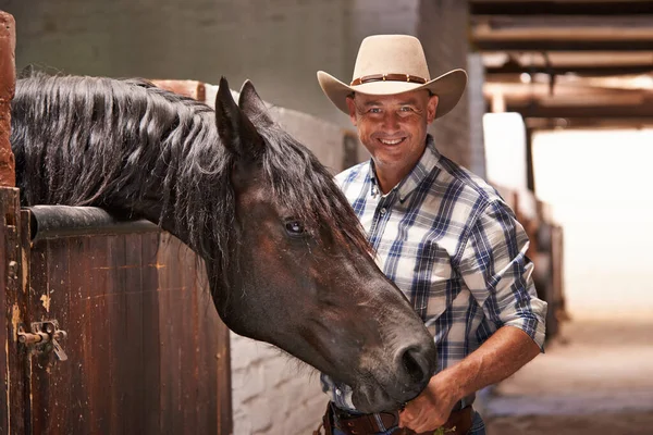 Det är dags att åka en sväng. En omtänksam ranch hand vårda en häst i stallet. — Stockfoto
