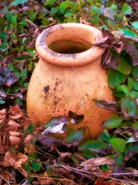 Herbstgarten. Der Garten im Herbst. — Stockfoto