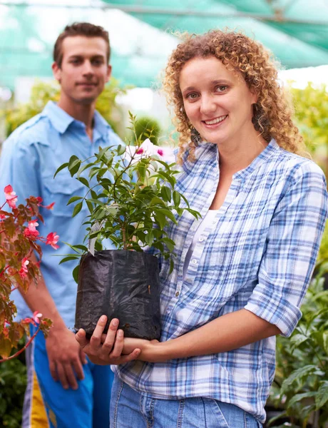 Elle a le pouce vert. Tournage d'une jeune femme tenant une plante dans une pépinière. — Photo