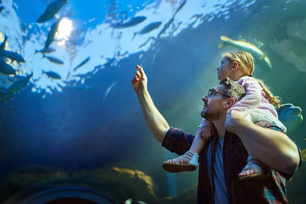 Dichtbij komen met alle zeewezens. Gehakt schot van een vader en zijn dochtertje kijkend naar een tentoonstelling in een aquarium. — Stockfoto