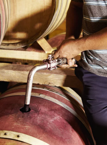 这都是为了酿造好酒。一个地窖工人用葡萄酒装满了一个红葡萄酒桶. — 图库照片