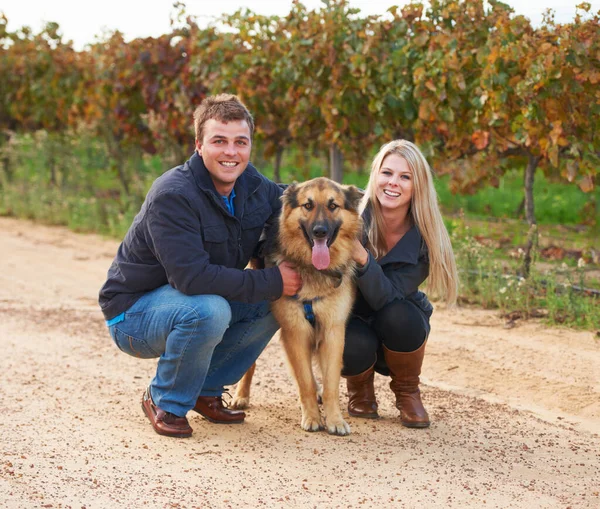 他是他们家的一员。一对年轻夫妇和他们的宠物阿尔萨斯在葡萄酒农场的画像. — 图库照片