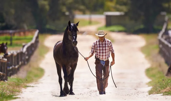 Lassen Sie uns zu einem Gespräch gehen. Schuss eines Cowboys, der sein Pferd am Zügel führt. — Stockfoto