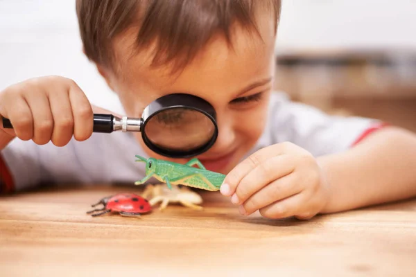 Inspekterar några nyfikna varelser. Skjuten av en ung pojke inspekterar sina leksaker med ett förstoringsglas. — Stockfoto