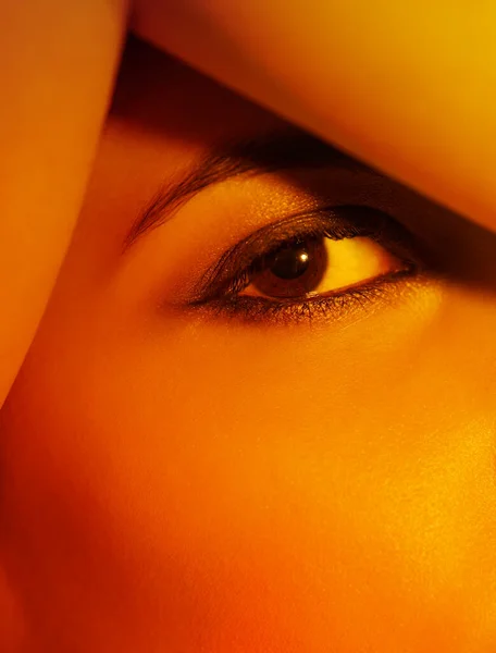 目を引く色。スタジオで芸術的な照明を持つ若い女性. — ストック写真