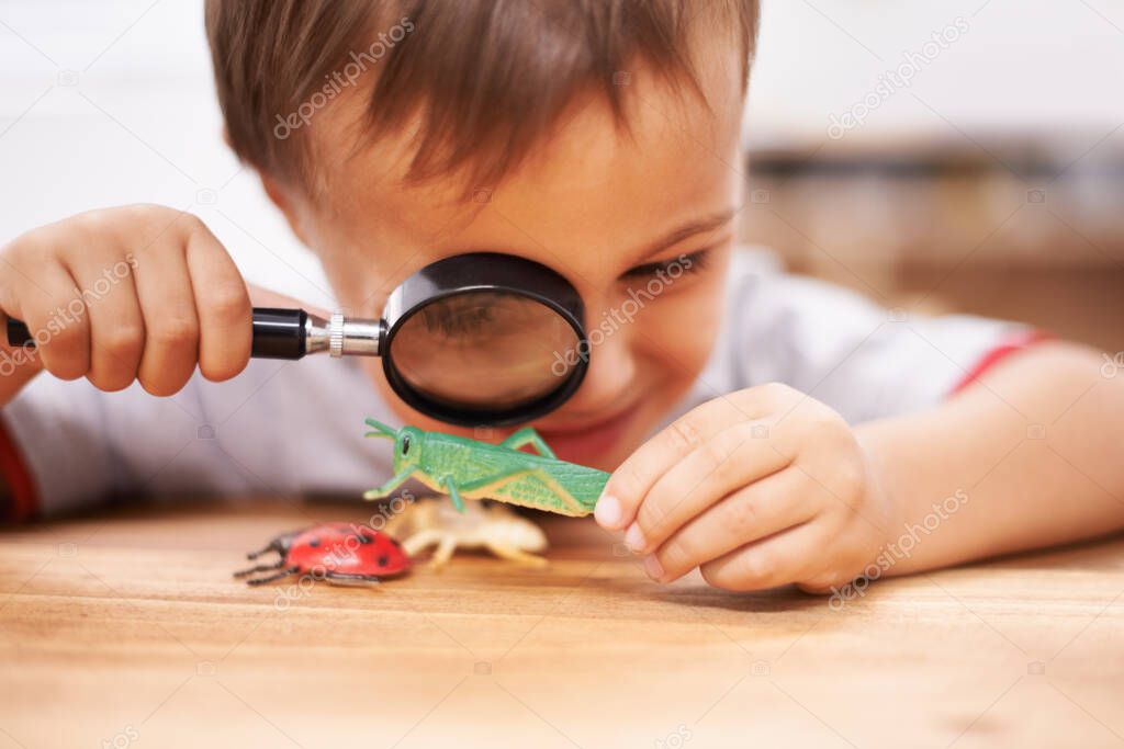 Inspecting some curious creatures. Shot of a young boy inspecting his toys with a magnifying glass.
