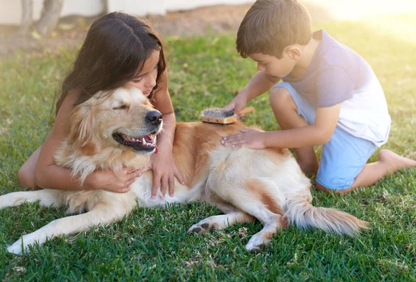 Verwöhnen Sie Zeit für ihr Haustier. Aufnahme eines kleinen Jungen und seiner Schwester beim Bürsten ihres Hundefells im heimischen Hinterhof. — Stockfoto