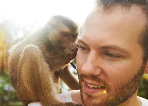 Man en aap. Een jonge makaak zit op een mensenschouder en verzorgt hem.. — Stockfoto